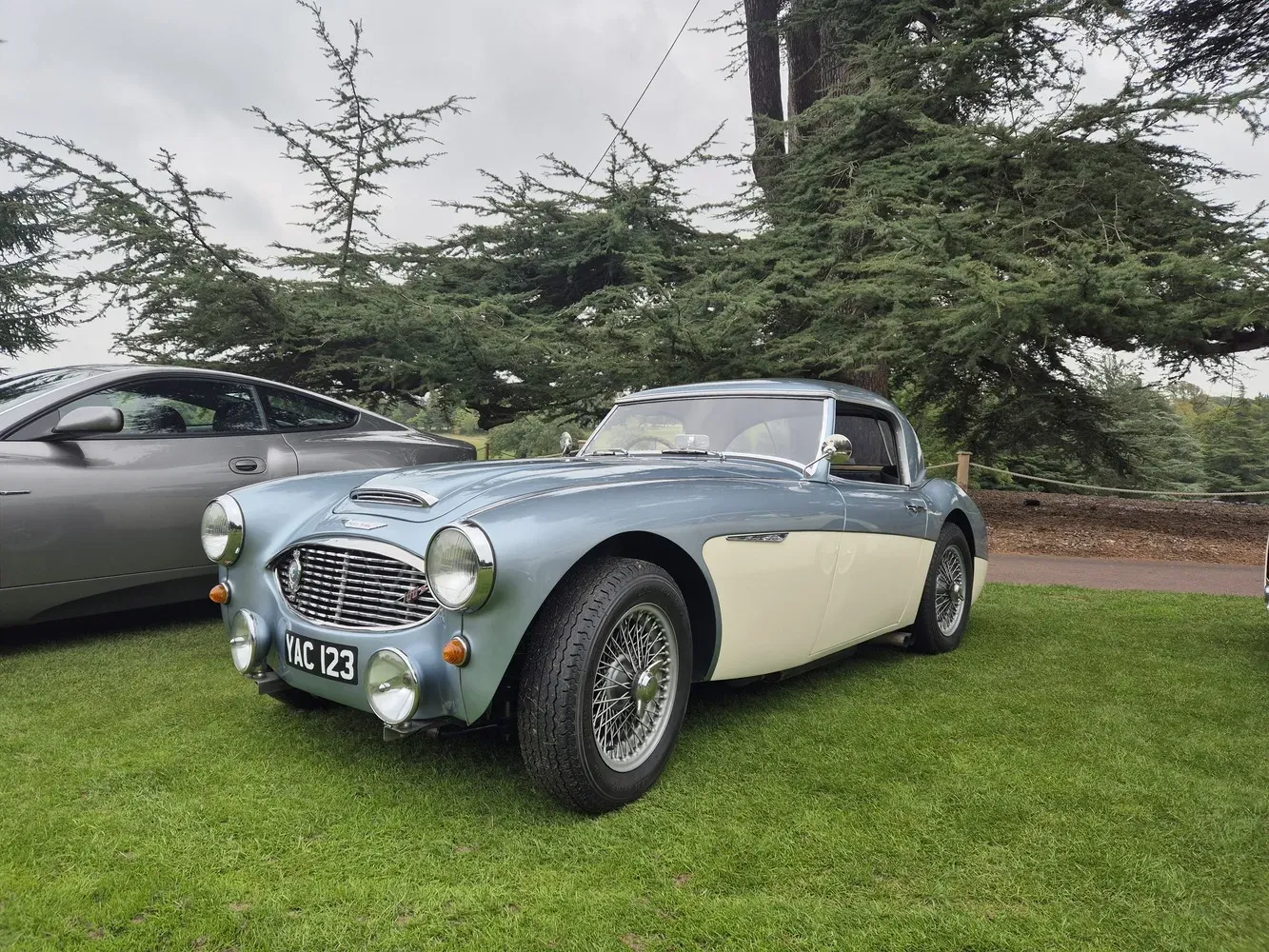Michelle's 1958 Austin Healey 100/6