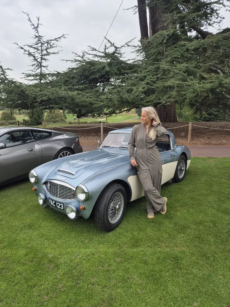 Michelle's Austin-Healey 100/6