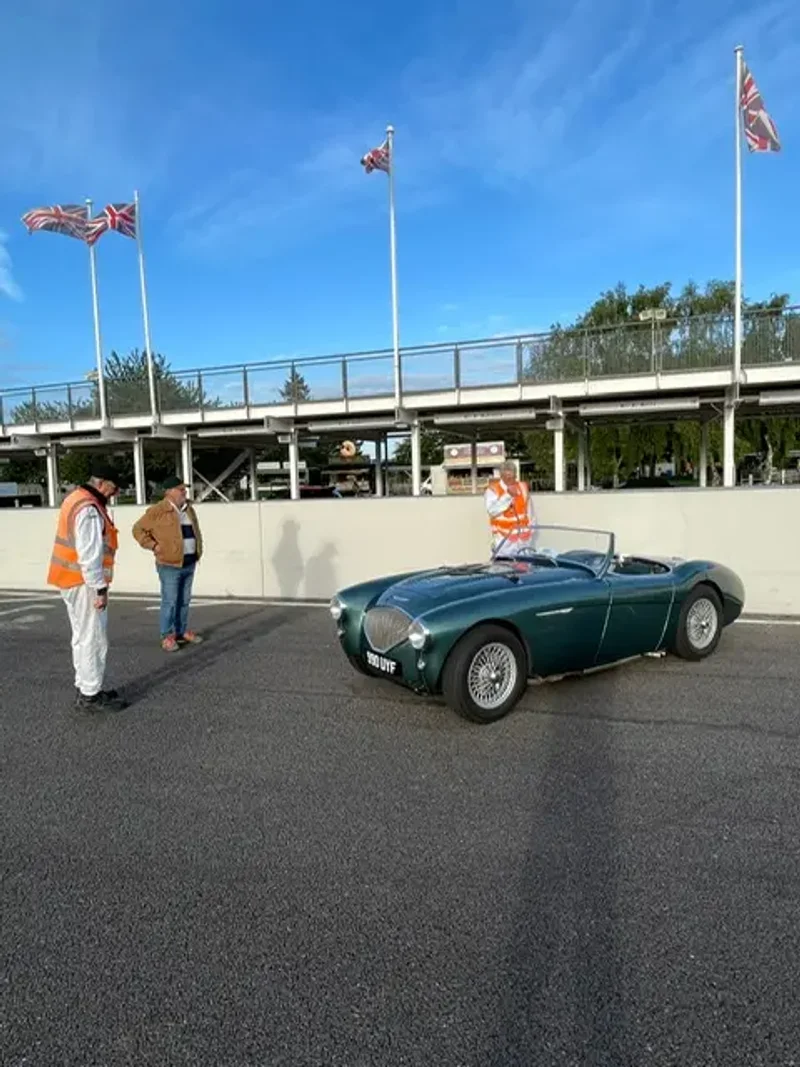 Julian's Austin Healey 3000 BN2 "M" Spec at Goodwood