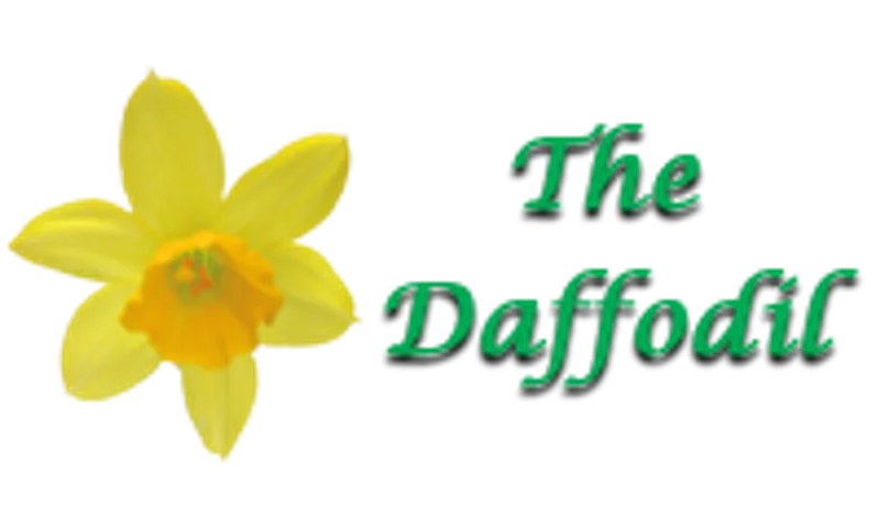 Daffodil Mid Week Event