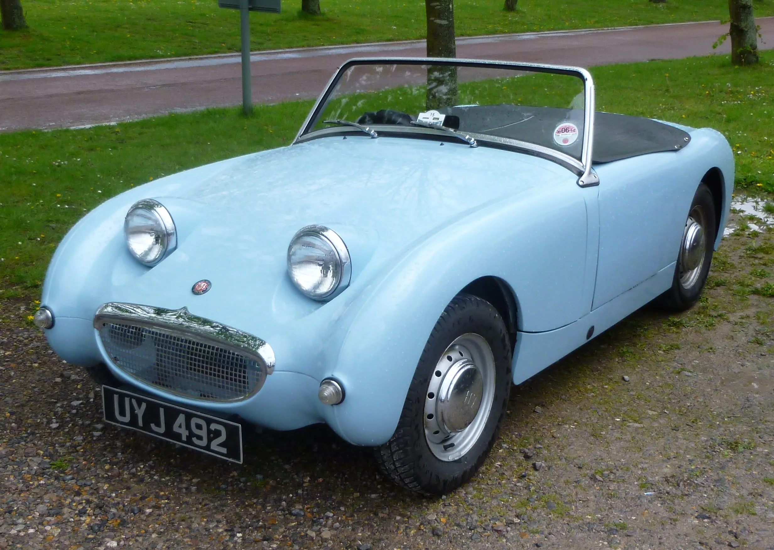 Austin Healey cars at Kent event