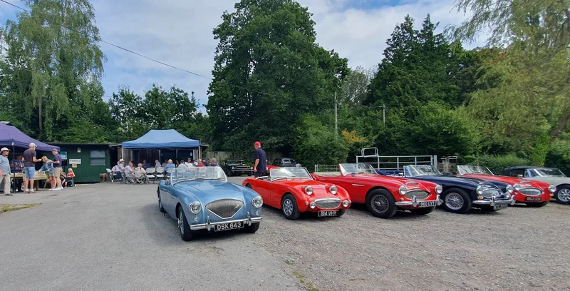 Orchard Restorations Open Day
