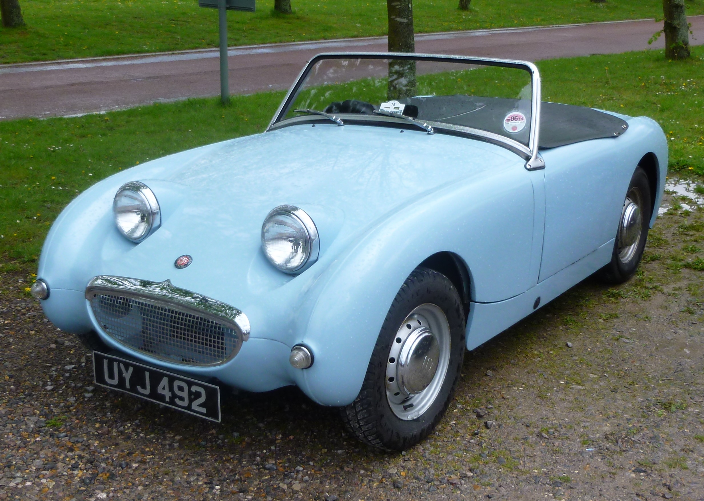 Austin Healey Exp