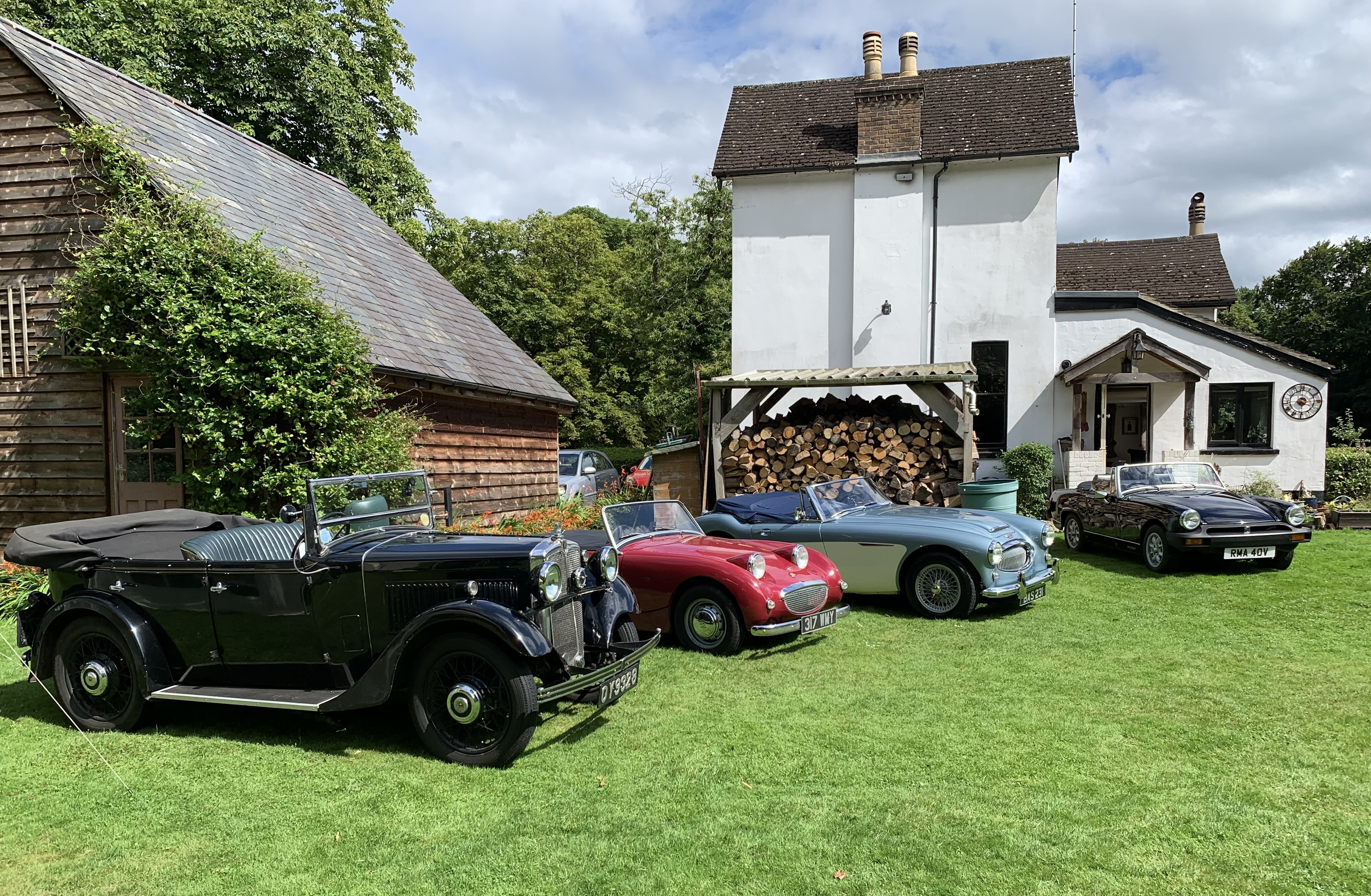 Cars at the Summer Picnic