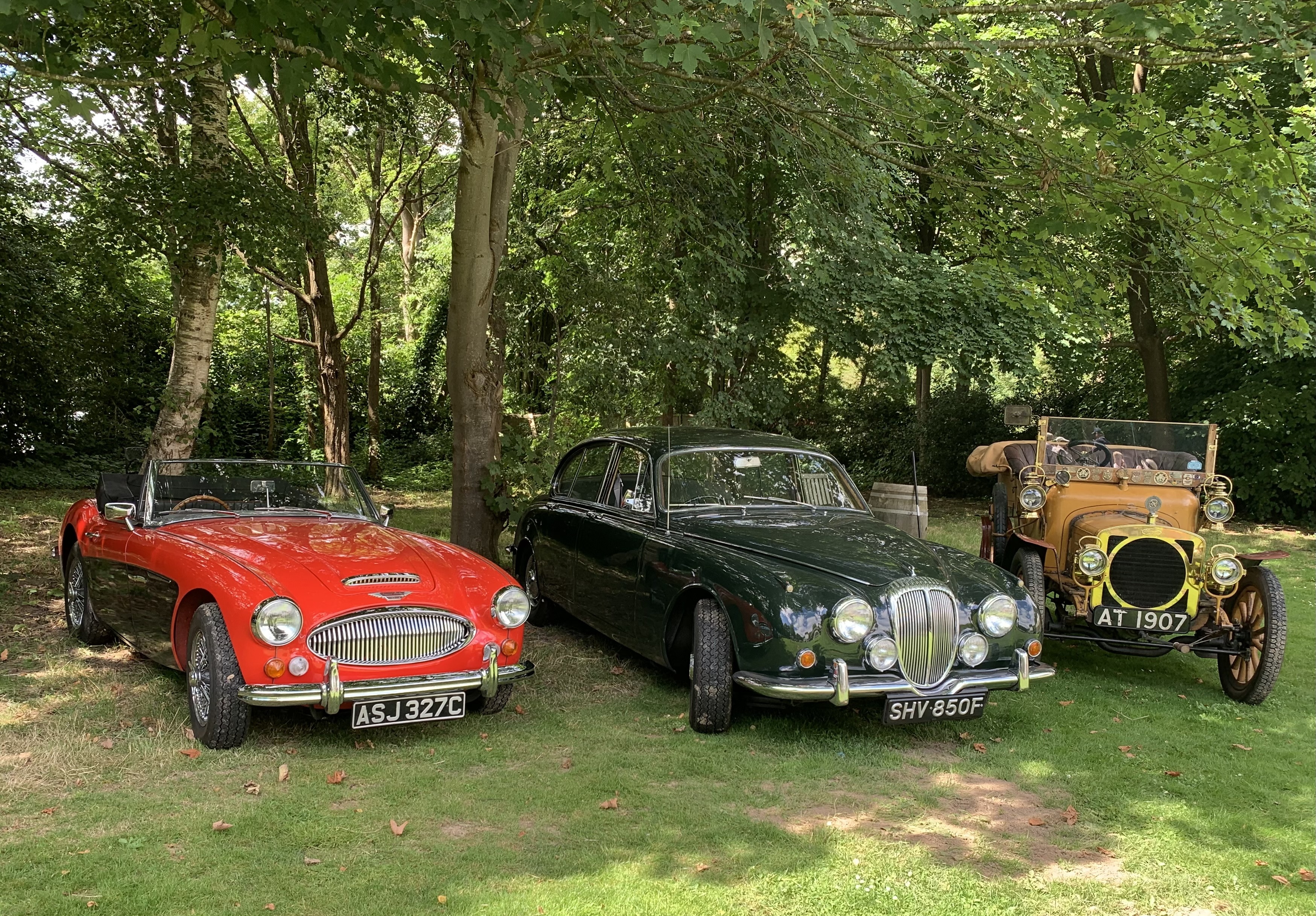 Gathering at the picnic