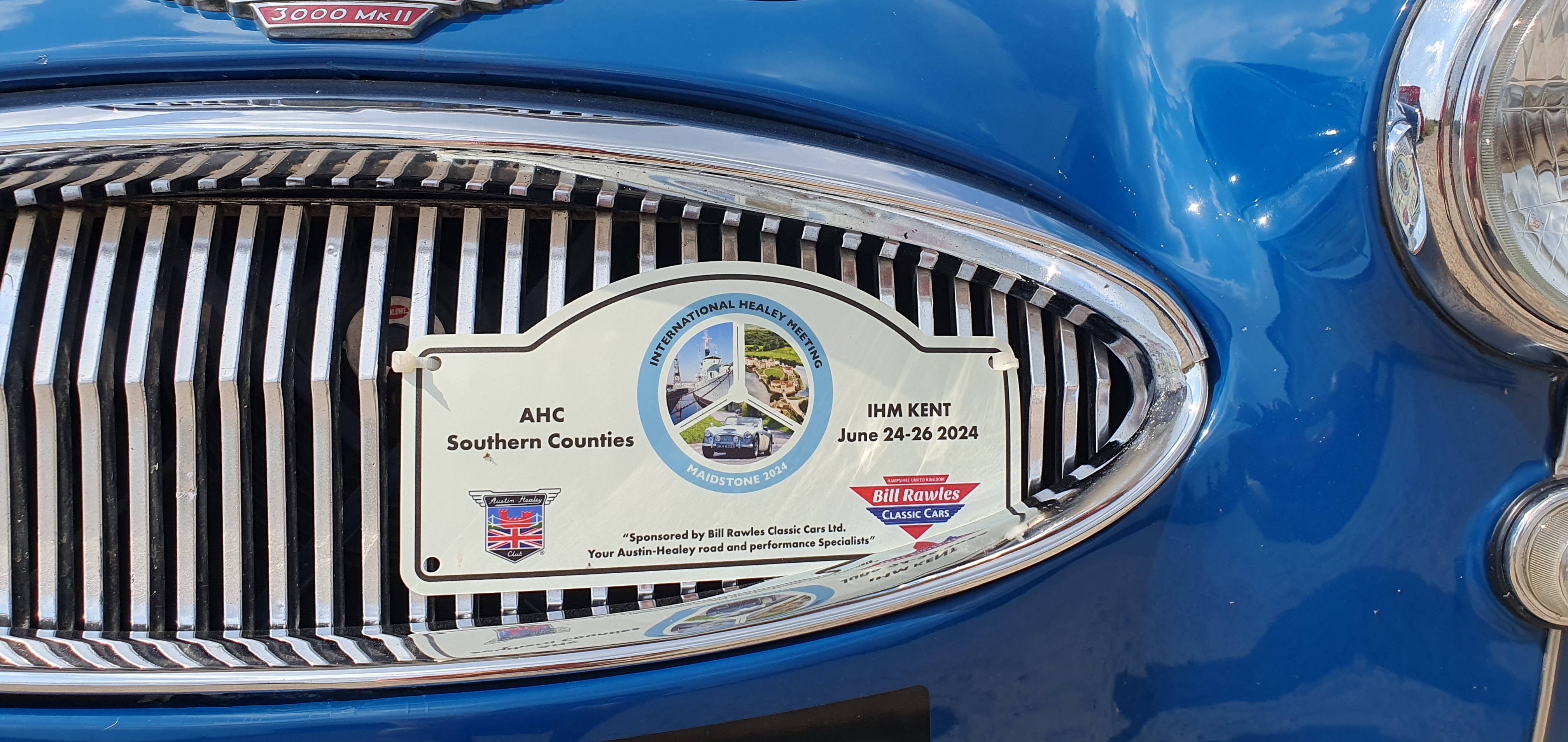 More views from the International Healey Meeting