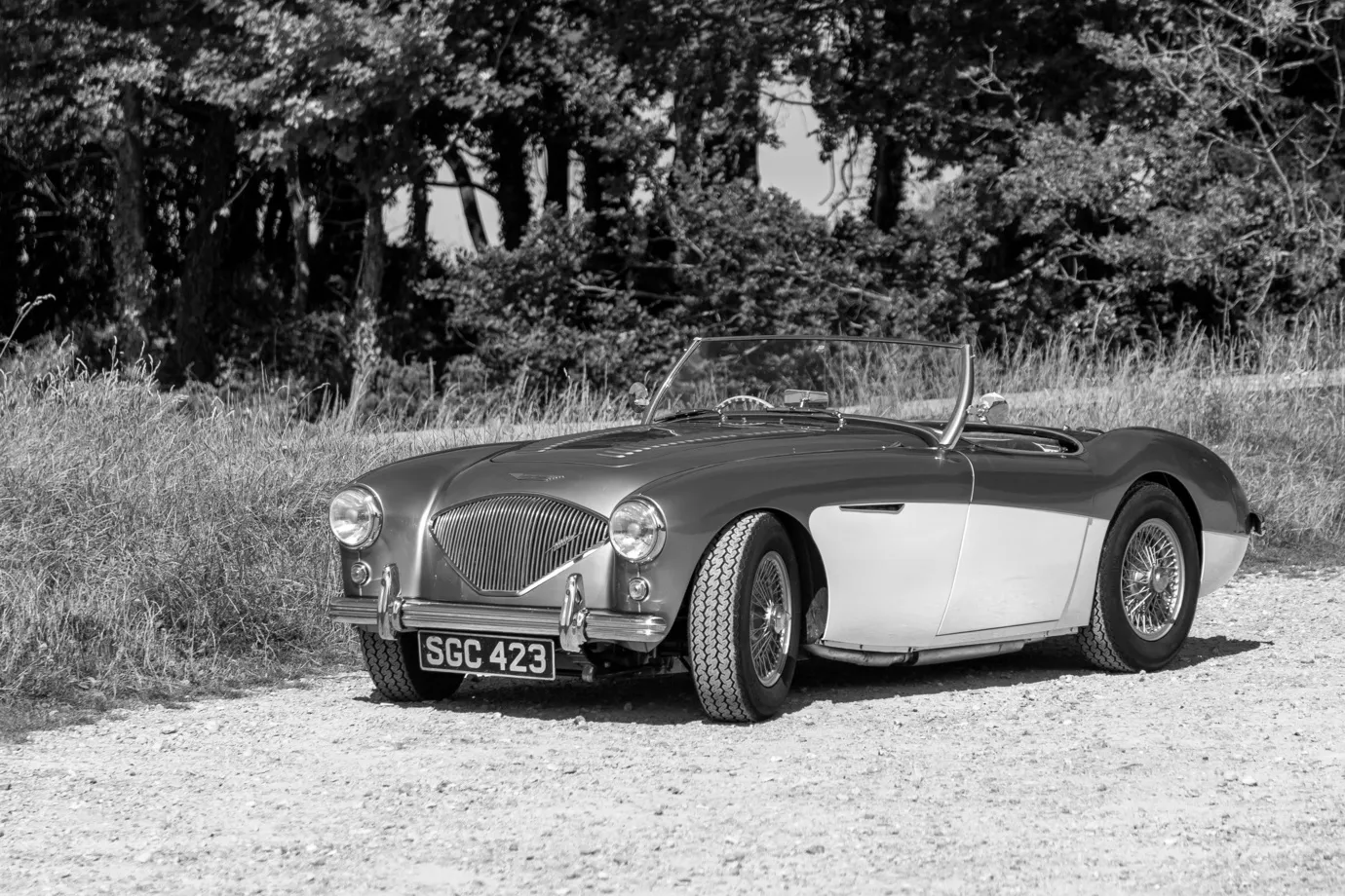 Steve's 1955 BN2 100/4 to M spec