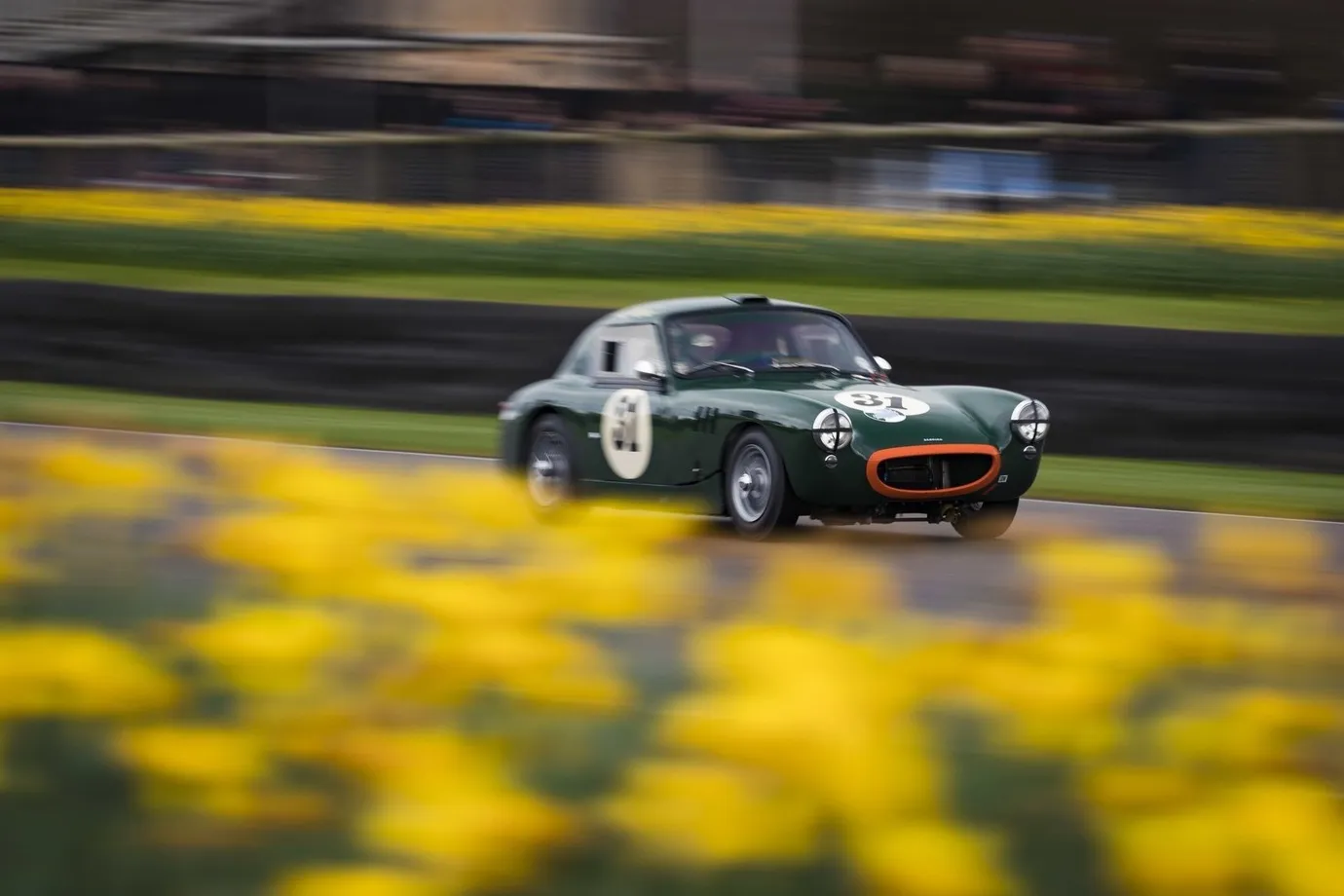 Austin Healey MkI Frogeye "Lumbertubs"