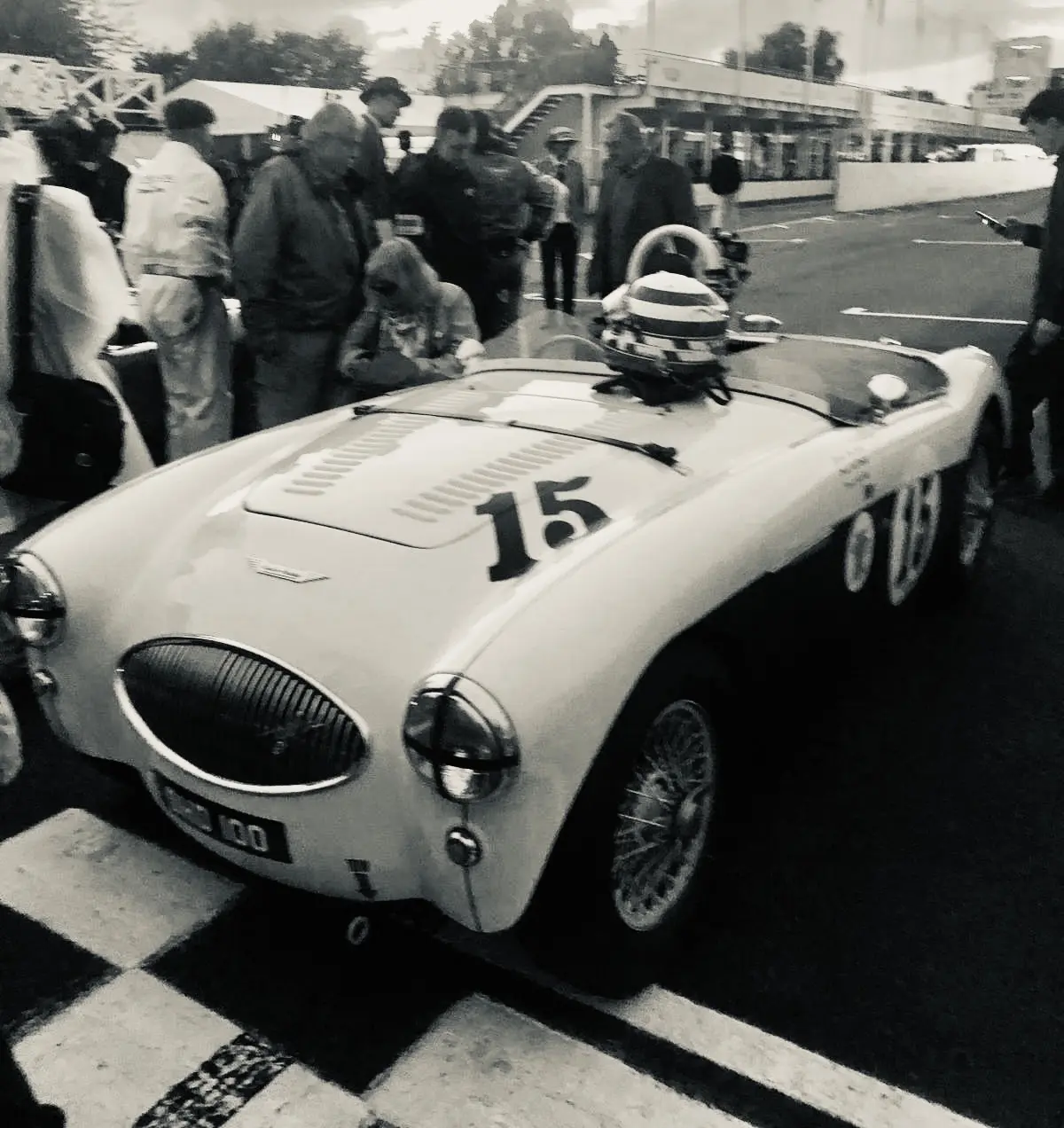 Glen's 1955 Austin Healey BN2 "S"